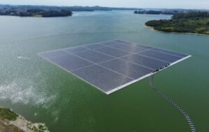 Plataforma conecta eleitores a candidaturas climáticas nas eleições de 2026
